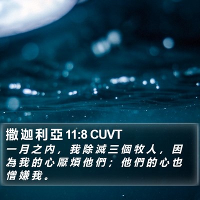 撒 迦 利 亞 11:8 CUVT Bible Verse Image