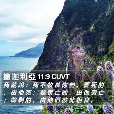 撒 迦 利 亞 11:9 CUVT Bible Verse Image
