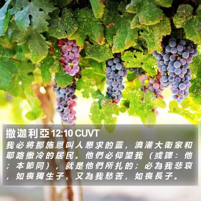 撒 迦 利 亞 12:10 CUVT Bible Verse Image