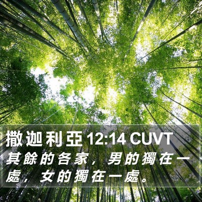 撒 迦 利 亞 12:14 CUVT Bible Verse Image