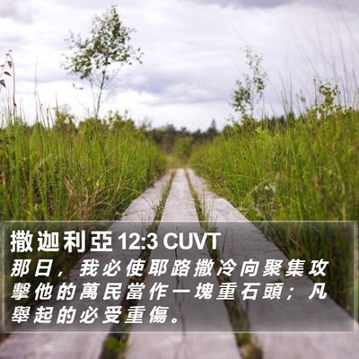 撒 迦 利 亞 12:3 CUVT Bible Verse Image
