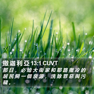 撒 迦 利 亞 13:1 CUVT Bible Verse Image
