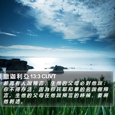 撒 迦 利 亞 13:3 CUVT Bible Verse Image