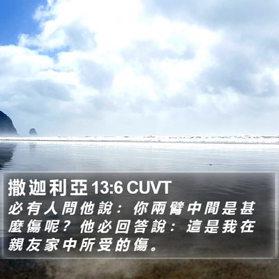 撒 迦 利 亞 13:6 CUVT Bible Verse Image