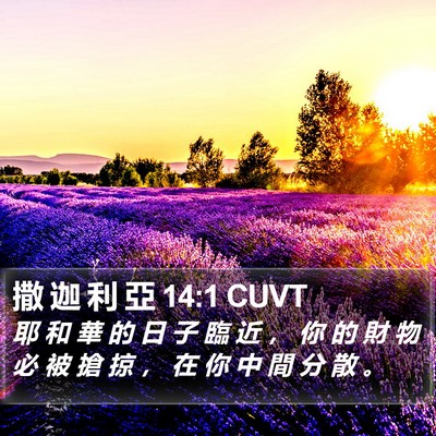 撒 迦 利 亞 14:1 CUVT Bible Verse Image