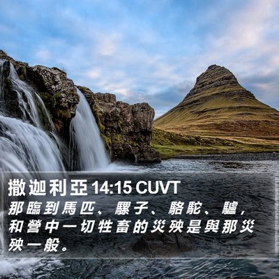 撒 迦 利 亞 14:15 CUVT Bible Verse Image