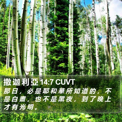 撒 迦 利 亞 14:7 CUVT Bible Verse Image