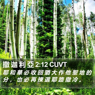 撒 迦 利 亞 2:12 CUVT Bible Verse Image
