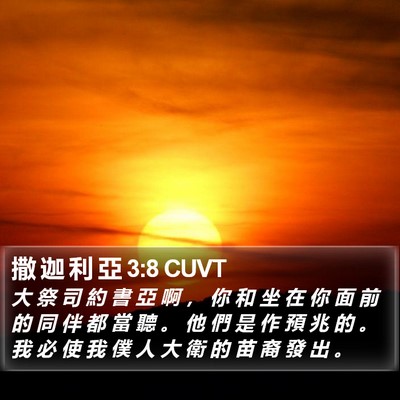 撒 迦 利 亞 3:8 CUVT Bible Verse Image