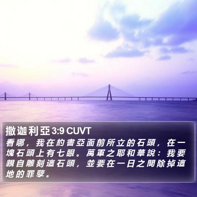 撒 迦 利 亞 3:9 CUVT Bible Verse Image