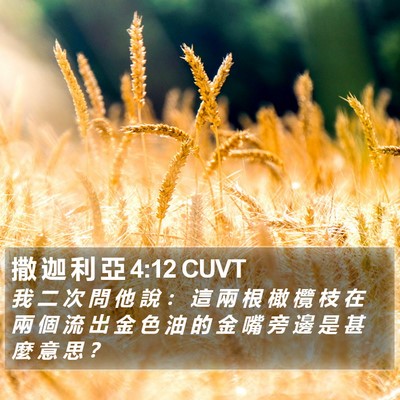 撒 迦 利 亞 4:12 CUVT Bible Verse Image