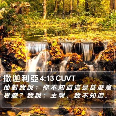 撒 迦 利 亞 4:13 CUVT Bible Verse Image