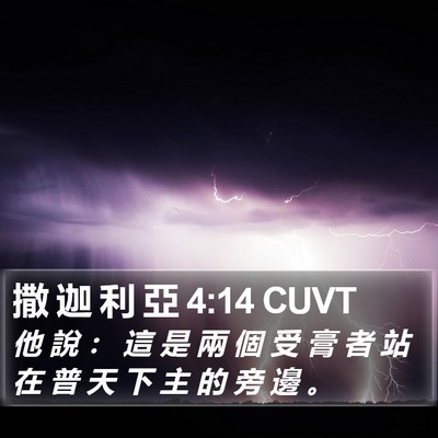 撒 迦 利 亞 4:14 CUVT Bible Verse Image