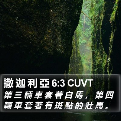 撒 迦 利 亞 6:3 CUVT Bible Verse Image