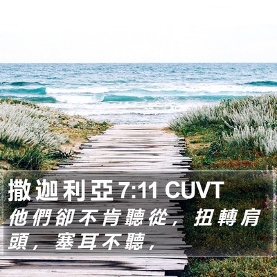 撒 迦 利 亞 7:11 CUVT Bible Verse Image