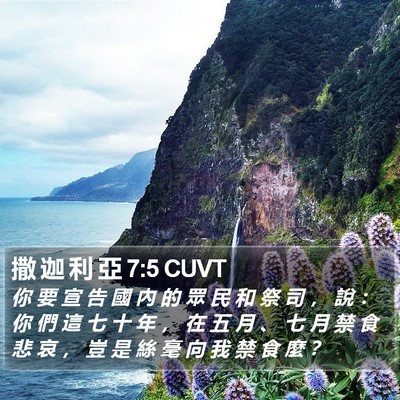撒 迦 利 亞 7:5 CUVT Bible Verse Image