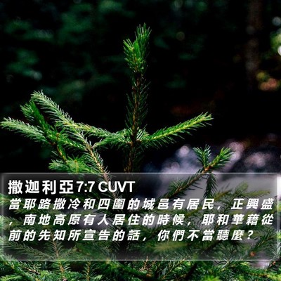 撒 迦 利 亞 7:7 CUVT Bible Verse Image