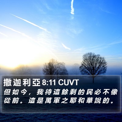 撒 迦 利 亞 8:11 CUVT Bible Verse Image