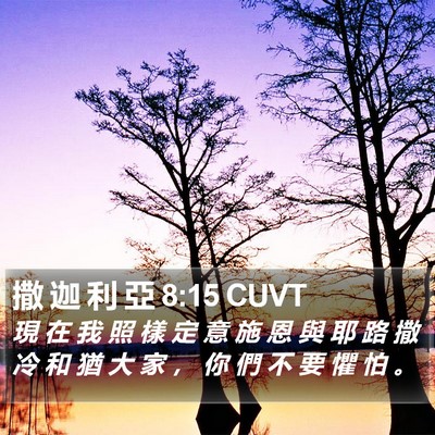 撒 迦 利 亞 8:15 CUVT Bible Verse Image
