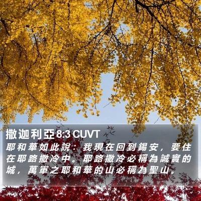撒 迦 利 亞 8:3 CUVT Bible Verse Image