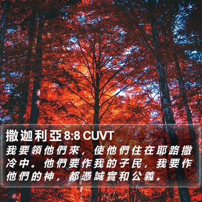撒 迦 利 亞 8:8 CUVT Bible Verse Image