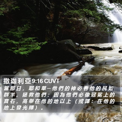 撒 迦 利 亞 9:16 CUVT Bible Verse Image