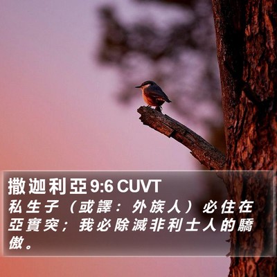 撒 迦 利 亞 9:6 CUVT Bible Verse Image