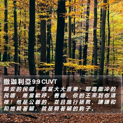 撒 迦 利 亞 9:9 CUVT Bible Verse Image