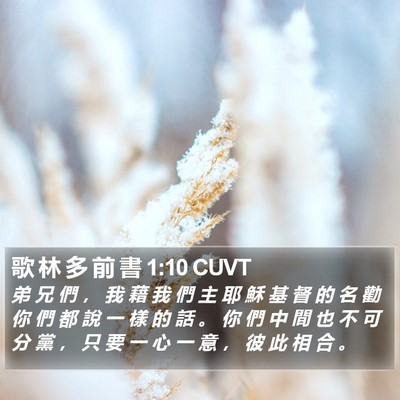 歌 林 多 前 書 1:10 CUVT Bible Verse Image