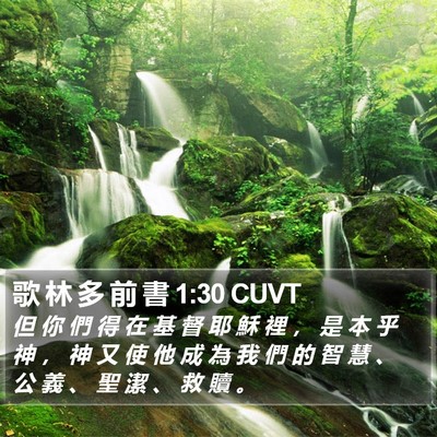 歌 林 多 前 書 1:30 CUVT Bible Verse Image