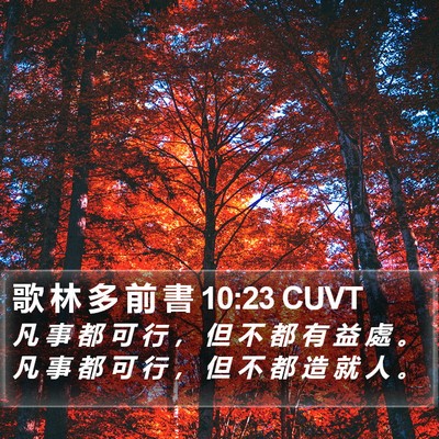 歌 林 多 前 書 10:23 CUVT Bible Verse Image