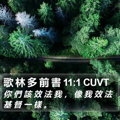 歌 林 多 前 書 11:1 CUVT Bible Verse Image