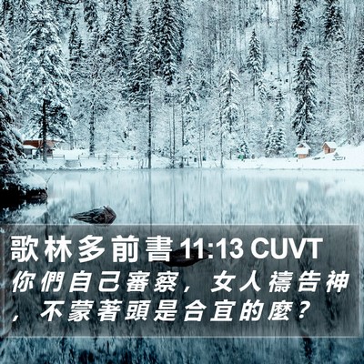 歌 林 多 前 書 11:13 CUVT Bible Verse Image