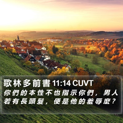 歌 林 多 前 書 11:14 CUVT Bible Verse Image