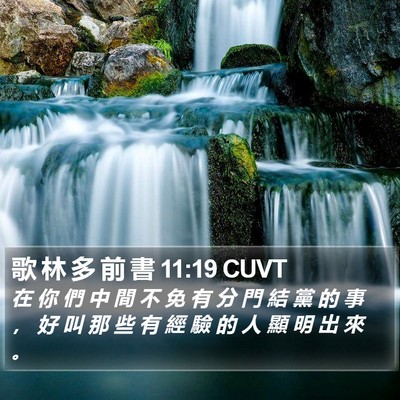 歌 林 多 前 書 11:19 CUVT Bible Verse Image