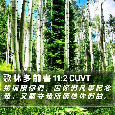歌 林 多 前 書 11:2 CUVT Bible Verse Image