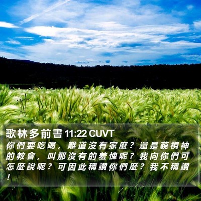 歌 林 多 前 書 11:22 CUVT Bible Verse Image