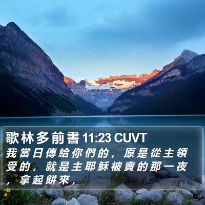 歌 林 多 前 書 11:23 CUVT Bible Verse Image