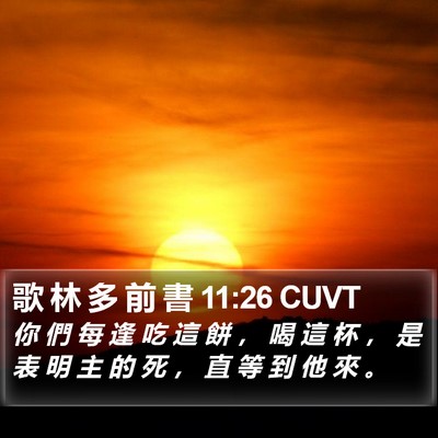 歌 林 多 前 書 11:26 CUVT Bible Verse Image