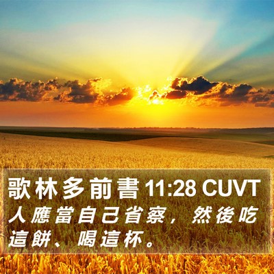 歌 林 多 前 書 11:28 CUVT Bible Verse Image