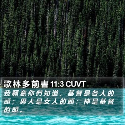 歌 林 多 前 書 11:3 CUVT Bible Verse Image