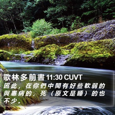 歌 林 多 前 書 11:30 CUVT Bible Verse Image