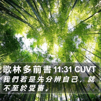 歌 林 多 前 書 11:31 CUVT Bible Verse Image