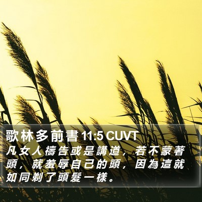 歌 林 多 前 書 11:5 CUVT Bible Verse Image