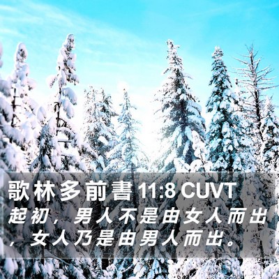 歌 林 多 前 書 11:8 CUVT Bible Verse Image