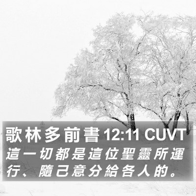 歌 林 多 前 書 12:11 CUVT Bible Verse Image