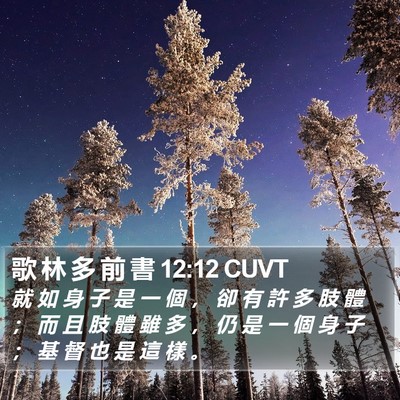 歌 林 多 前 書 12:12 CUVT Bible Verse Image