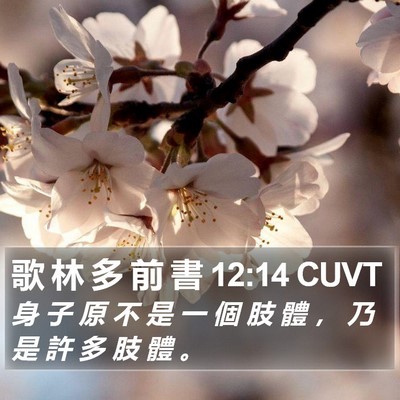 歌 林 多 前 書 12:14 CUVT Bible Verse Image