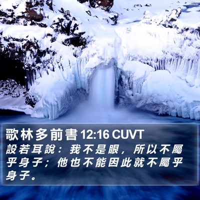 歌 林 多 前 書 12:16 CUVT Bible Verse Image