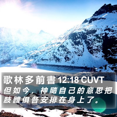 歌 林 多 前 書 12:18 CUVT Bible Verse Image